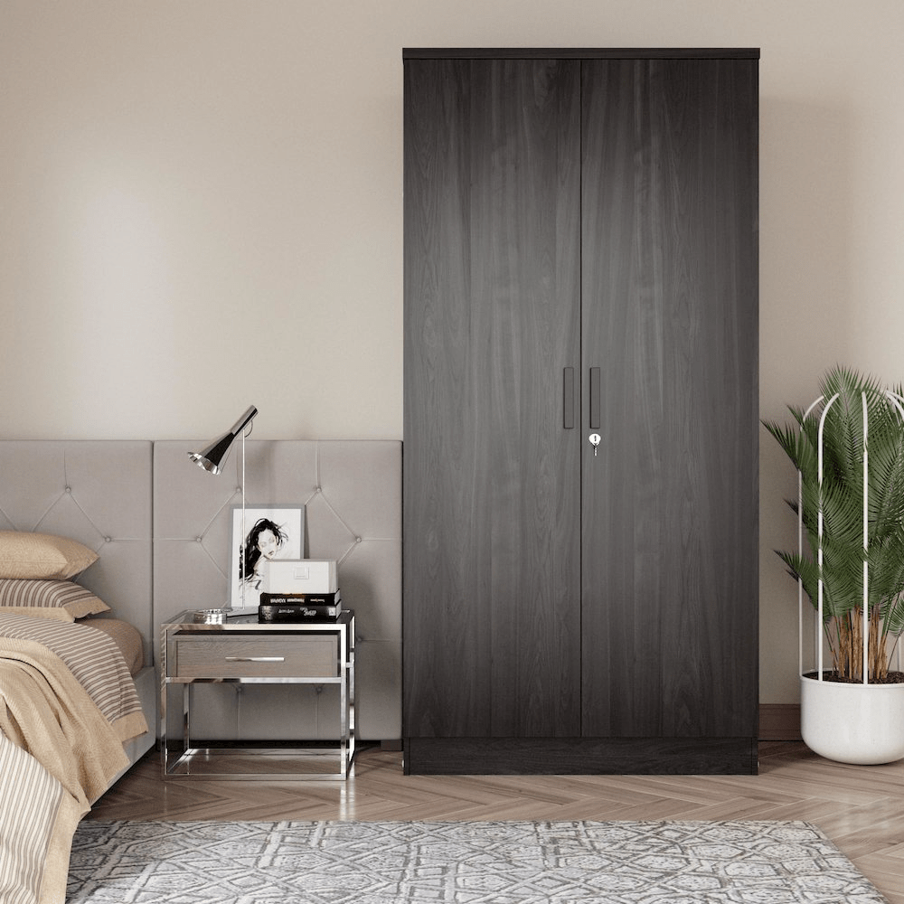 Sleek 2 - Door Wardrobe with Ample Shelves & Secure Lock - Premium Storage Solution for Any Room - AnelityBG3825371 - 36154254723706833573